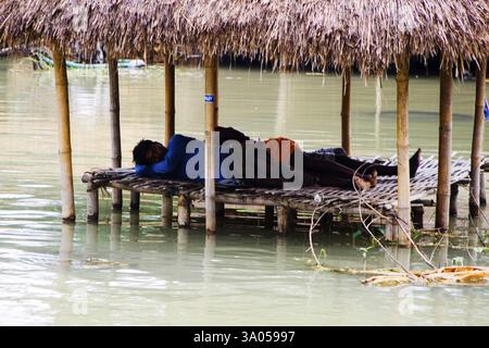 Die Flutflut des KOSI im Jahr 2008, die die meisten Menschen unter der Armutsgrenze im Bezirk Purniya, Bihar, Indien, Asien, litten Stockfoto