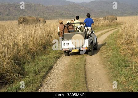 Touristen beobachten wilde Elefanten vom offenen Jeep aus im Jim Corbett Forest, Garhwal, Uttaranchal Uttarakhand, Indien, Asien Stockfoto