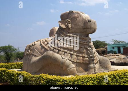 Größte monolithische Nandi-Skulptur in Lepakshi, Andhra Pradesh, Indien, Asien Stockfoto