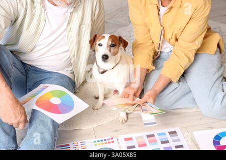 Reifes Paar mit Farbpaletten und Hund während der Reparatur in ihrem neuen Haus, Nahaufnahme Stockfoto