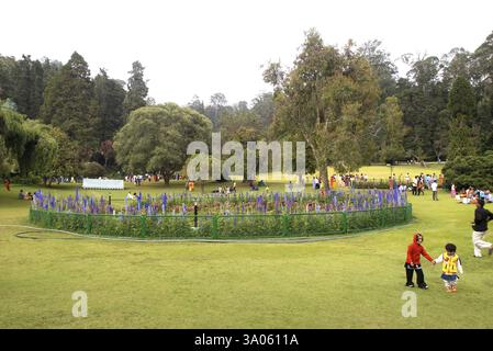 Der botanische Garten der Regierung, der 1847 vom Marquis of Tweeddale in Udhagamandalam Ooty, Tamil Nadu angelegt wurde Stockfoto