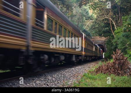 Panama, PANAMA. 30. Januar 2025. Die Panamakanalbahn ist eine der großartigsten Zugfahrten der Welt. Sie ist eine Eisenbahnlinie, die den Atlantik mit dem Pazifischen Ozean in Mittelamerika verbindet. Die Route erstreckt sich über 47,6 Meilen (76,6 km) über den Isthmus von Panama von ColÃ³n (Atlantik) nach Balboa (Pazifik, nahe Panama City). Der Kanal ist ein 82 km (51 Meilen) langer Wasserweg, der den Pazifik und den Atlantik durch Panama verbindet und für die US-Importe von Autos und Handelsgütern von Containerschiffen aus Asien und für US-Exporte von Rohstoffen, einschließlich Flüssigerdgas, von entscheidender Bedeutung ist. Die Unite Stockfoto