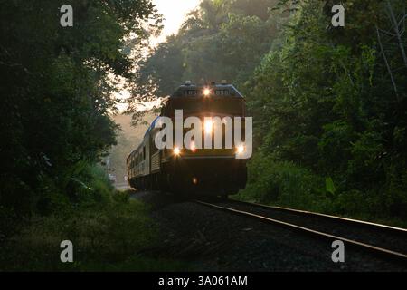 Panama, PANAMA. 30. Januar 2025. Die Panamakanalbahn ist eine der großartigsten Zugfahrten der Welt. Sie ist eine Eisenbahnlinie, die den Atlantik mit dem Pazifischen Ozean in Mittelamerika verbindet. Die Route erstreckt sich über 47,6 Meilen (76,6 km) über den Isthmus von Panama von ColÃ³n (Atlantik) nach Balboa (Pazifik, nahe Panama City). Der Kanal ist ein 82 km (51 Meilen) langer Wasserweg, der den Pazifik und den Atlantik durch Panama verbindet und für die US-Importe von Autos und Handelsgütern von Containerschiffen aus Asien und für US-Exporte von Rohstoffen, einschließlich Flüssigerdgas, von entscheidender Bedeutung ist. Die Unite Stockfoto