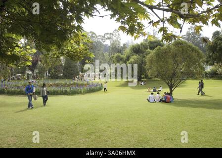 Der botanische Garten der Regierung, der 1847 vom Marquis of Tweeddale in Udhagamandalam Ooty, Tamil Nadu angelegt wurde Stockfoto