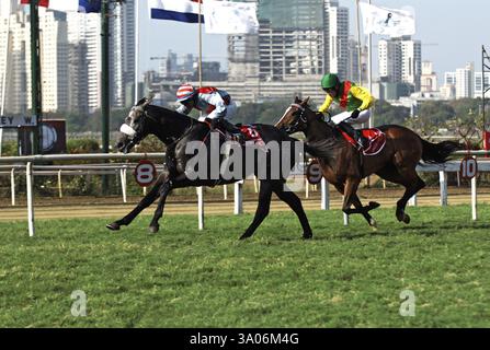 Poonawala Rennen auf dem Mahalaxmi Race Course in Bombay Mumbai, Maharashtra, Indien 22. März 2009 Stockfoto