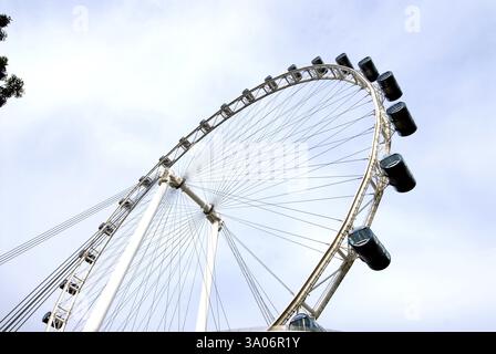 Flyer weltweit größtes Riesenrad, Singapur, Asien Stockfoto
