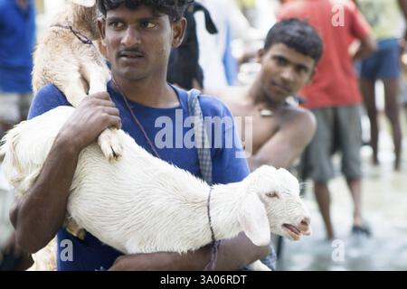 KOSI-Flutflut im Jahr 2008, die meist unter der Armutsgrenze litten Menschen im Bezirk Purniya, Bihar, Indien, NICHT MR Stockfoto