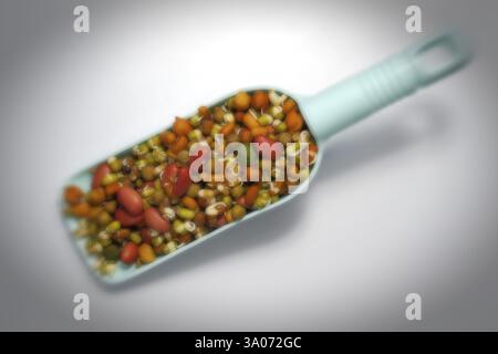 Essen, gemischte Bohnen in Plastiklöffel auf weißem Hintergrund Stockfoto