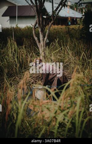 Ein gefleckter Hirsch steht im Wald und zeigt die Schönheit der Tierwelt in ihrem natürlichen Lebensraum. Stockfoto