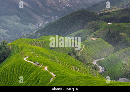 Longji-Reisterrassen auf dem Yaoshan-Berg in Guangxi, China, Sonnenaufgangslicht Stockfoto