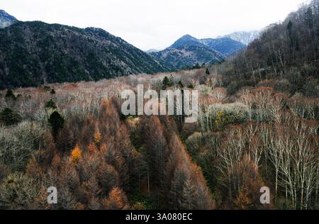 Blick von der Shinatoka Seilbahn in den Japanischen Alpen, Präfektur Gifu, Japan. Stockfoto