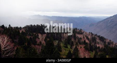 Blick von der Shinatoka Seilbahn in den Japanischen Alpen, Präfektur Gifu, Japan. Stockfoto