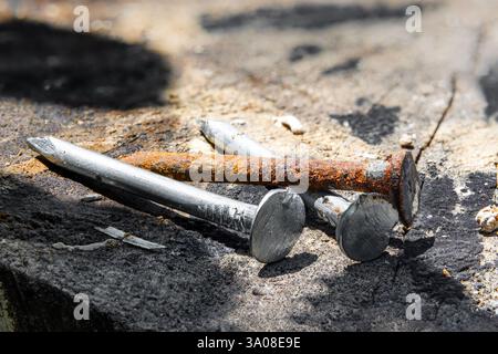 Ein Haufen rostiger Nägel auf neuen Nägeln. Alter Stahlnagel in Makronähe Stockfoto