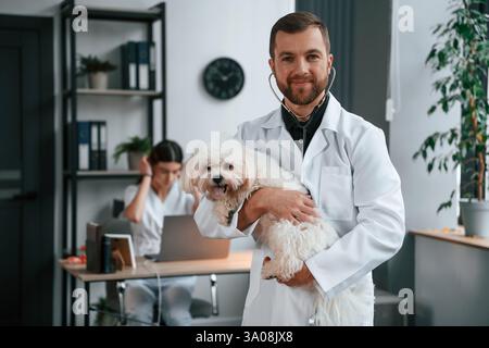 Die Frau sitzt am Laptop. Männliche und weibliche Ärzte kümmern sich in der Klinik um den maltesischen Hund. Stockfoto