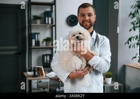 Doktor im weißen Mantel steht und hält den maltesischen Hund in den Händen. In der Klinik. Stockfoto