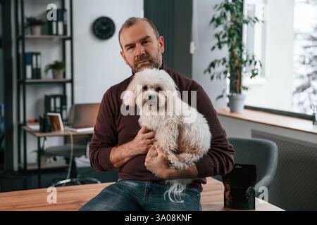 Auf dem Tisch sitzen. Ein Mann in lässiger Kleidung ist drinnen mit seinem süßen maltesischen Hund. Stockfoto
