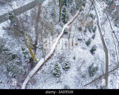 Gerader Holzwanderweg durch einen verschneiten Wald, neue Holzstege im Stadtgarten von Calw, Calw, Schwarzwald, Deutschland, Europa Stockfoto