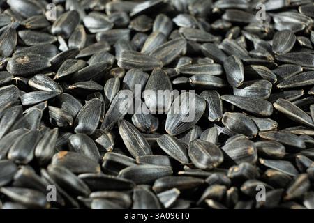 Crunchy Rösted Sunflower Seeds Nahaufnahme. Stockfoto