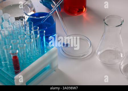 Pipettierende blaue Flüssigkeit in Petrischale während des Experiments im modernen Labor mit Reagenzgläsern und Bechern. Stockfoto