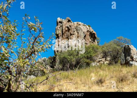 Ein großer Felsen sitzt auf einem Hügel mit einem Baum im Vordergrund Stockfoto