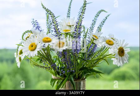 Blumenstrauß aus Wildblumen Kamille und veronica aus nächster Nähe. Stockfoto