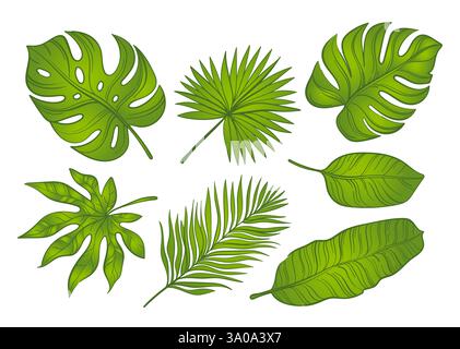 Set aus grünen tropischen Blättern auf weißem Hintergrund Stock Vektor