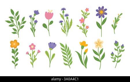 Blumenset mit Blumen und Zweigen Stock Vektor