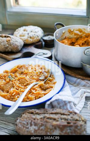 Szegedin Goulash mit Kohl und Fleisch. Traditioneller slowenischer Kohl-Eintopf mit Rindfleisch- und Schweinegulasch Stockfoto