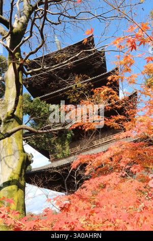 Herbststimmung. Japanische Pagode im Herbstlaub mit roten Ahornblättern in Kyoto. Stockfoto