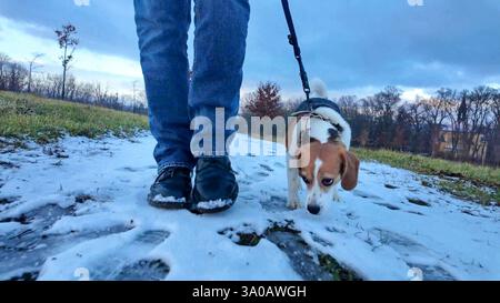 Ein Mann, der mit seinem Hund durch eine verschneite Landschaft spaziert. Hund auf schmelzendem Schnee. Das Konzept des Hundegehens und die Freundschaft eines Hundemeisters. Stockfoto