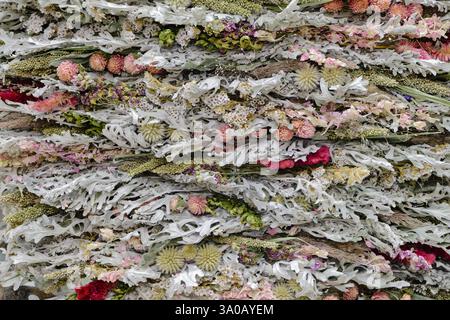 Dekorative Platte aus getrockneten Wildpflanzen, Blumen und Flechten, Nahaufnahme, abstrakter Hintergrund Stockfoto