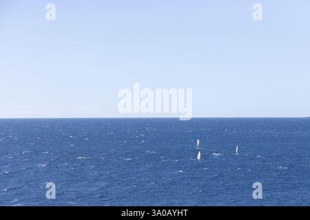 Eine riesige Weite des tiefblauen Ozeans mit kleinen Segelbooten, die am Horizont unter klarem Himmel verstreut sind. Eine ruhige und minimalistische Meereslandschaft. Stockfoto