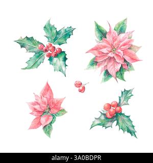 Weihnachtsstern und rote Beeren Stockfoto