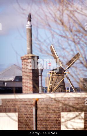 Historische Windmühle von Leiden, Molen de Valk im Hintergrund Stockfoto
