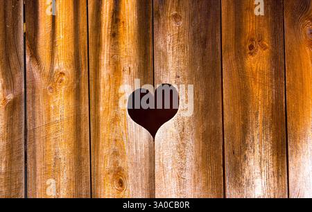 Holzsägen auf der externen Hoftoilette in Rietberg, Nordrhein-Westfalen Stockfoto