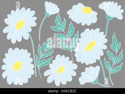 Kamille, Gänseblümchen. Satz von farbigen Illustrationen im Handzeichnungsstil auf grauem Hintergrund. Weiße Umrandung. Design für Postkarten, Flyer, Banner. Symbole, sig Stock Vektor