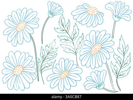 Daisy, Kamille. Satz von Illustrationen im Stil der Handzeichnung. Handzeichnung, farbige Umrisse. Design zum Färben nach Farben, Postkarten. Symbole, Schilder, Aufkleber Stock Vektor