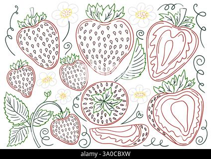 Erdbeere. Satz von Illustrationen im Stil der Handzeichnung. Handzeichnung, farbige Umrisse. Design zum Färben nach Farben, Postkarten. Symbole, Schilder, Aufkleber, pi Stock Vektor