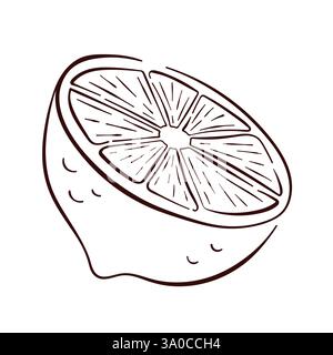 Zitrone, halb geschnitten im Stil von Line Art. Handgezeichnete Obstskizze. Illustration für Menü, Logo, Druck, Textil- oder Utensiliendesign isoliert auf einem weiß Stock Vektor