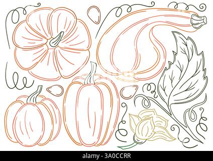 Kürbis. Satz von Illustrationen im Stil der Handzeichnung. Handzeichnung, farbige Umrisse. Design zum Färben nach Farben, Postkarten. Symbole, Schilder, Aufkleber, Logo Stock Vektor