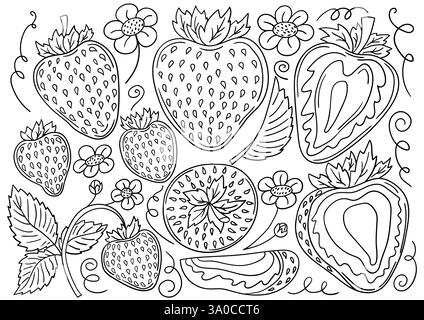 Erdbeere. Satz monochromer Illustrationen im Handzeichnungsstil. Handzeichnung, schwarze Umrandung. Design zum Färben, Postkarten. Symbole, Schilder, Aufkleber, p Stock Vektor