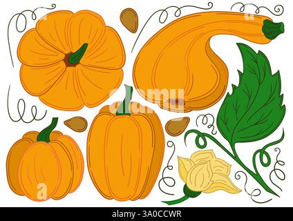 Kürbis. Satz von farbigen Illustrationen im Stil der Handzeichnung. Design für Postkarten, Flyer, Banner, Raumdekoration. Symbole, Schilder, Aufkleber Logo Stock Vektor