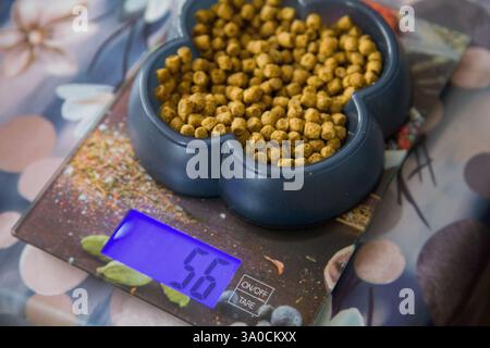 Eine Schüssel mit Trockenfutter auf einer digitalen Skala, die das genaue Portionsgewicht für die Tagesration des Haustiers anzeigt Stockfoto