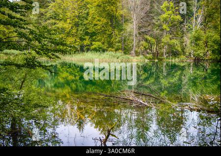 Der Proscansko-See ist einer der größten Seen im Nationalpark Plitvicer Seen in Kroatien Stockfoto