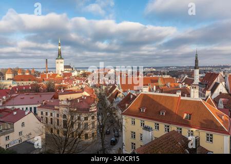 Altes Tallinn von der Aussichtsplattform Kohtuotsa aus gesehen. Stockfoto
