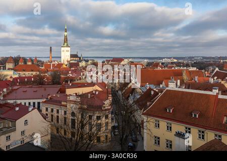 Altes Tallinn von der Aussichtsplattform Kohtuotsa aus gesehen. Stockfoto