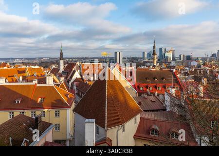 Altes Tallinn von der Aussichtsplattform Kohtuotsa aus gesehen. Stockfoto
