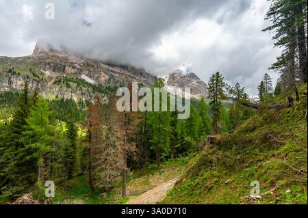Berggipfel rund um Cinque Torri in den Dolomiten (Dolomiten, Dolomiten), Italien. Majestätische Gipfel, teilweise bedeckt mit Nebel und Wolken, mit üppigen für Stockfoto