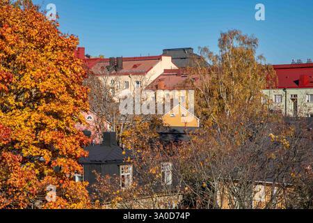 Herbstfarben und Wohnhausdächer von Keuruunpuisto an einem sonnigen Herbsttag im Stadtteil Puu-Vallila in Helsinki, Finnland Stockfoto
