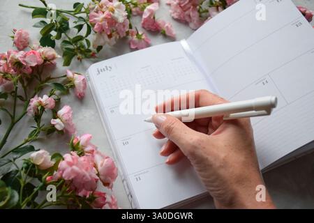 Die Hand der Frau schreibt in einem Juli-Wochenplaner, umgeben von rosafarbenen Rosen Stockfoto